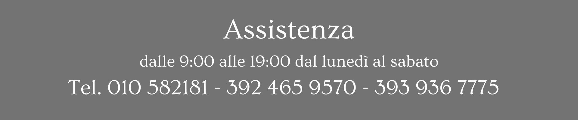 Assistenza