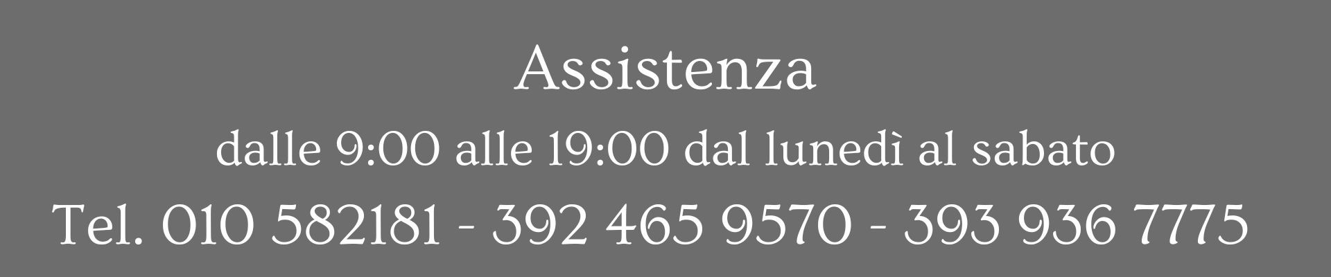 Assistenza