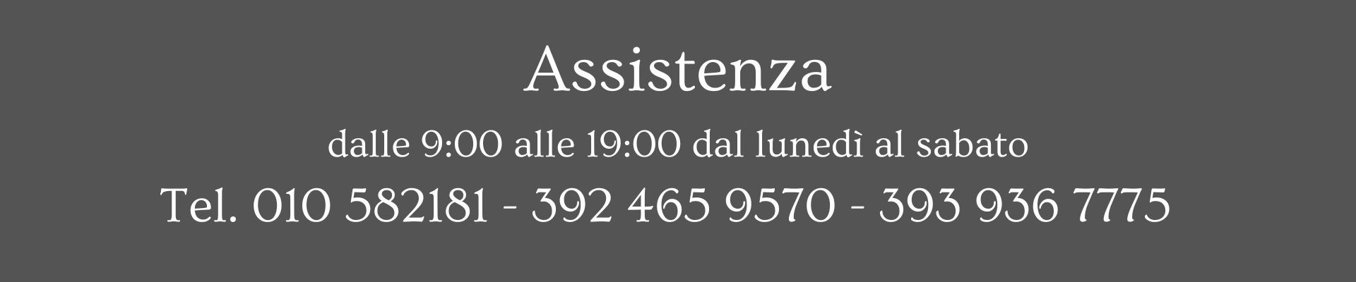 Assistenza